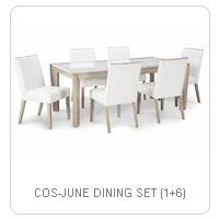 COS-JUNE DINING SET (1+6)